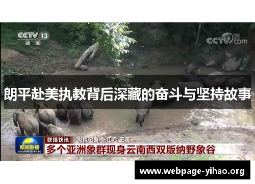 朗平赴美执教背后深藏的奋斗与坚持故事