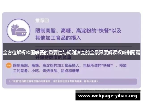 全方位解析欧国联赛的重要性与规则演变的全景深度解读权威指南篇